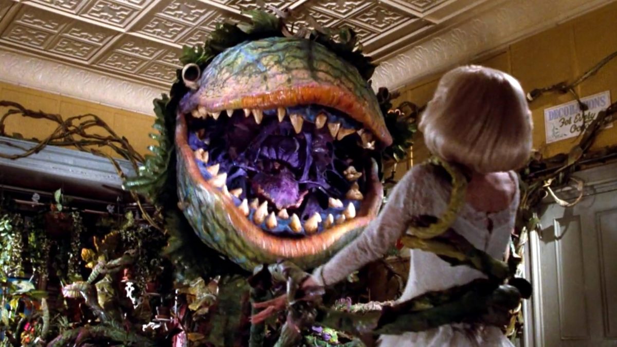 Little Shop of Horrors – Spoiler Time