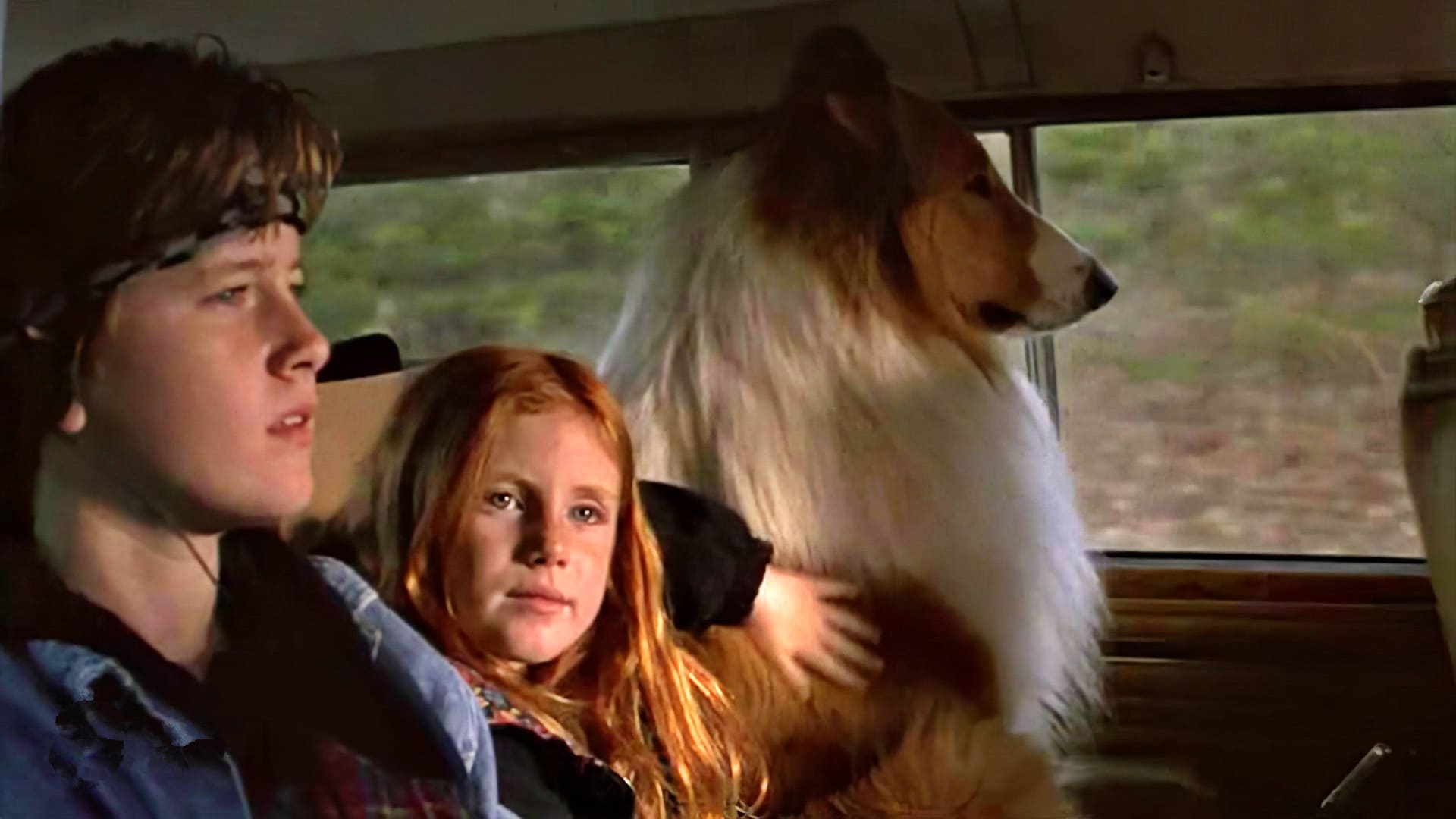 Lassie Spoiler Time